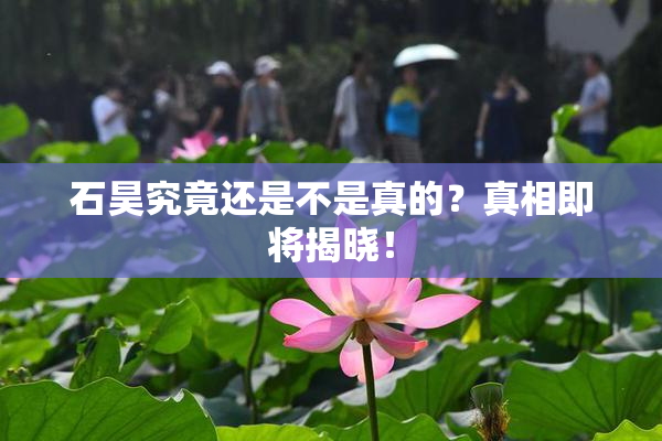 石昊究竟还是不是真的？真相即将揭晓！