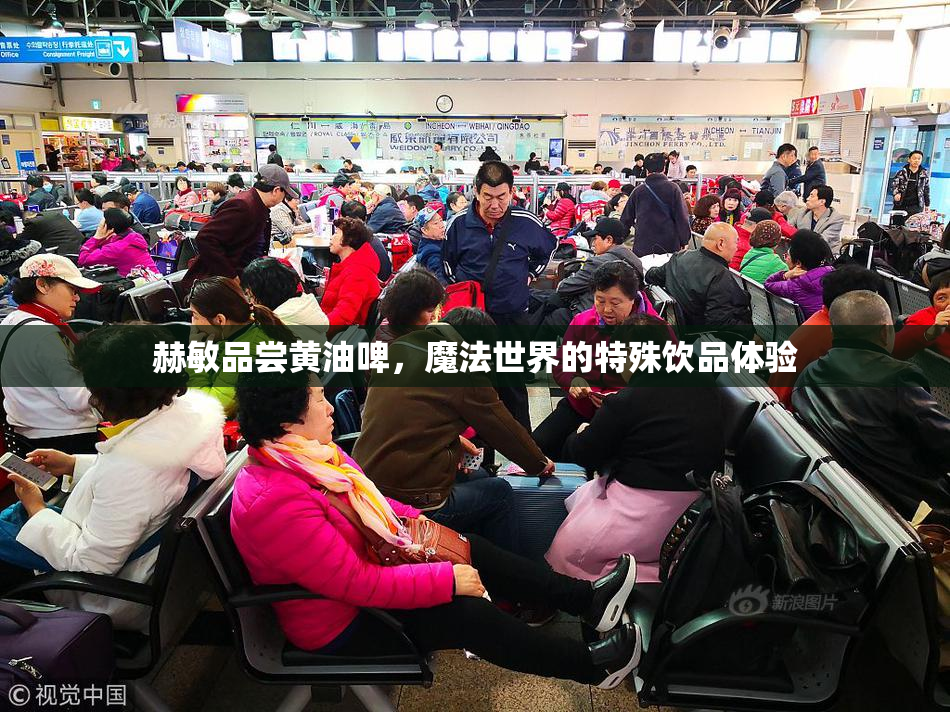 赫敏品尝黄油啤，魔法世界的特殊饮品体验