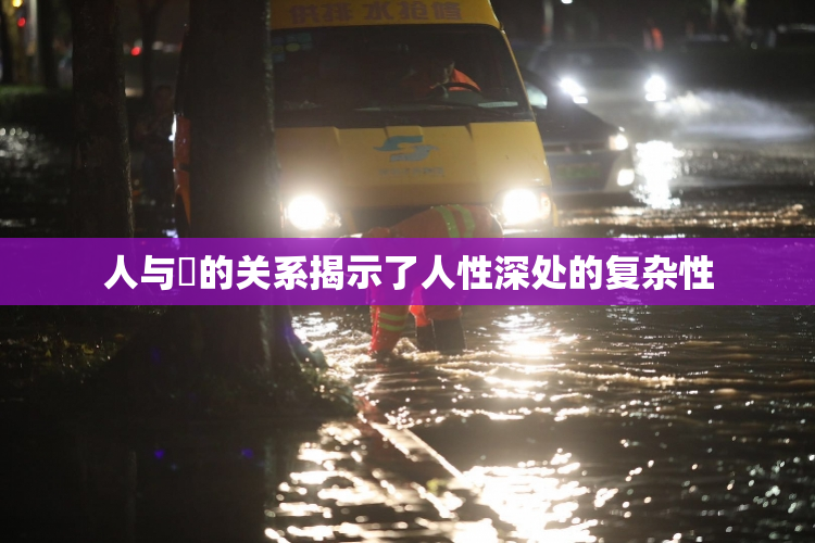 人与嘼的关系揭示了人性深处的复杂性