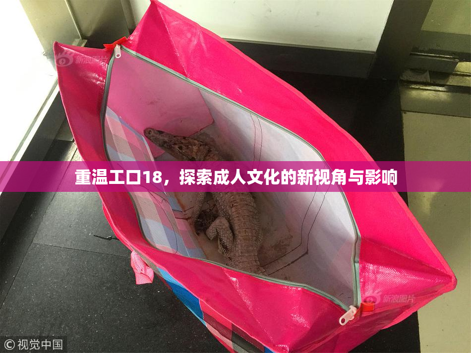 重温工口18，探索成人文化的新视角与影响