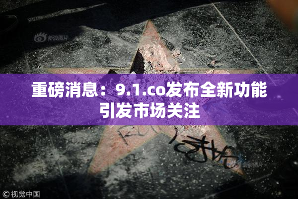 重磅消息：9.1.co发布全新功能引发市场关注