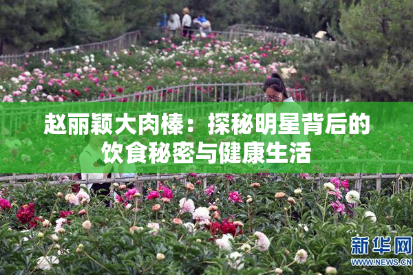 赵丽颖大肉榛：探秘明星背后的饮食秘密与健康生活