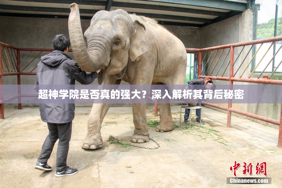 超神学院是否真的强大？深入解析其背后秘密