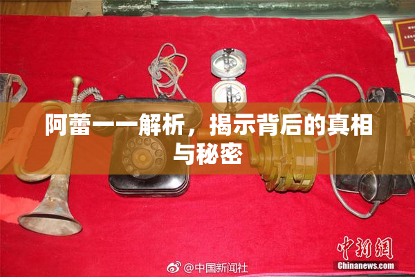 阿蕾一一解析，揭示背后的真相与秘密