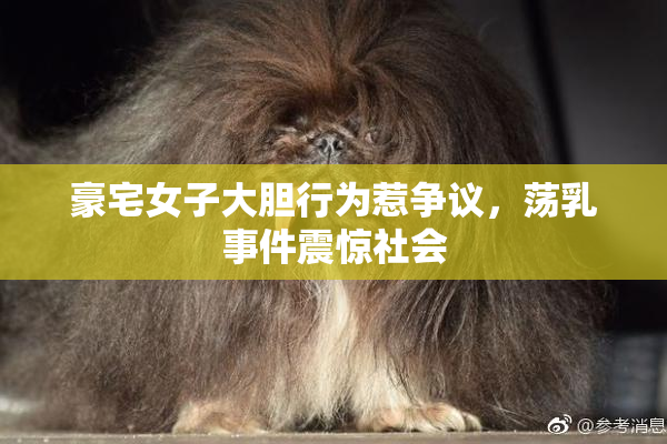 豪宅女子大胆行为惹争议，荡乳事件震惊社会