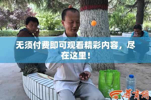 无须付费即可观看精彩内容，尽在这里！