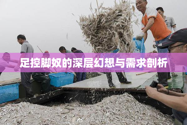 足控脚奴的深层幻想与需求剖析