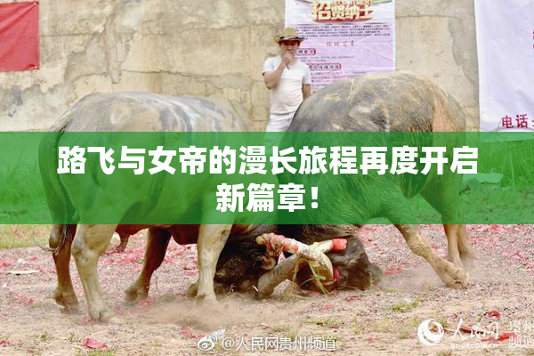 路飞与女帝的漫长旅程再度开启新篇章！