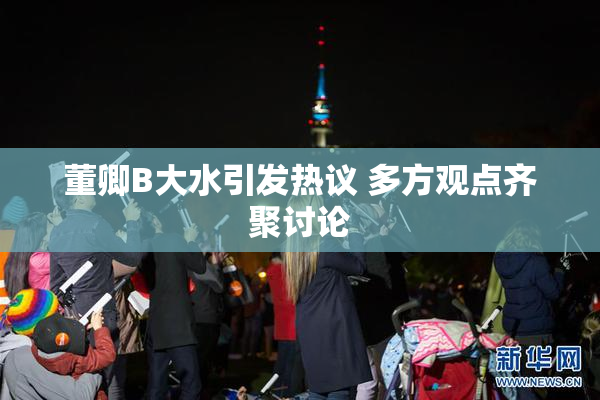 董卿B大水引发热议 多方观点齐聚讨论
