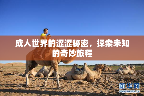 成人世界的涩涩秘密，探索未知的奇妙旅程