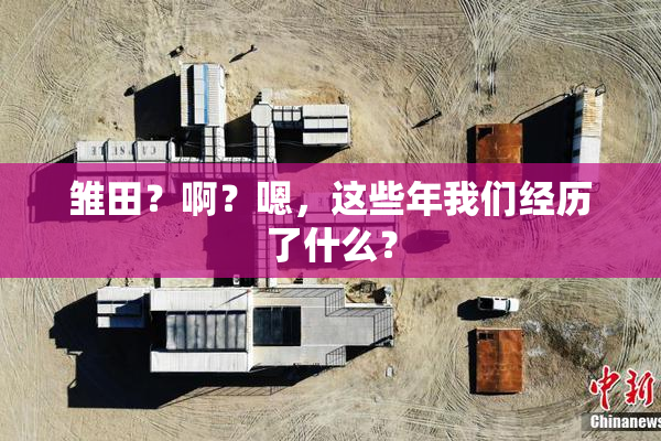 雏田？啊？嗯，这些年我们经历了什么？