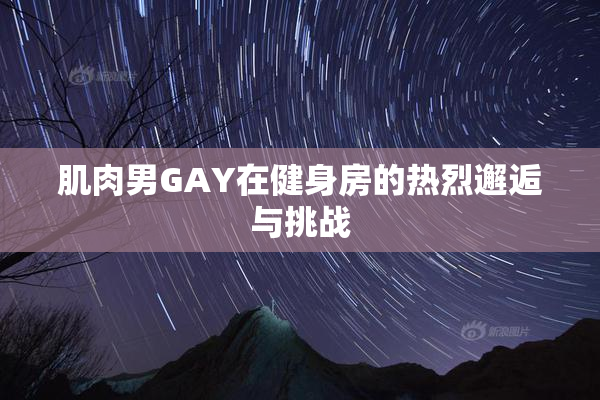 肌肉男GAY在健身房的热烈邂逅与挑战