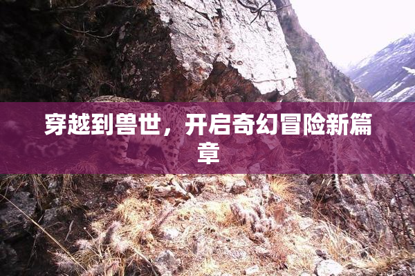 穿越到兽世，开启奇幻冒险新篇章