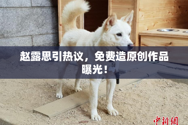 赵露思引热议，免费造原创作品曝光！
