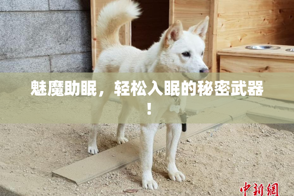 魅魔助眠，轻松入眠的秘密武器！