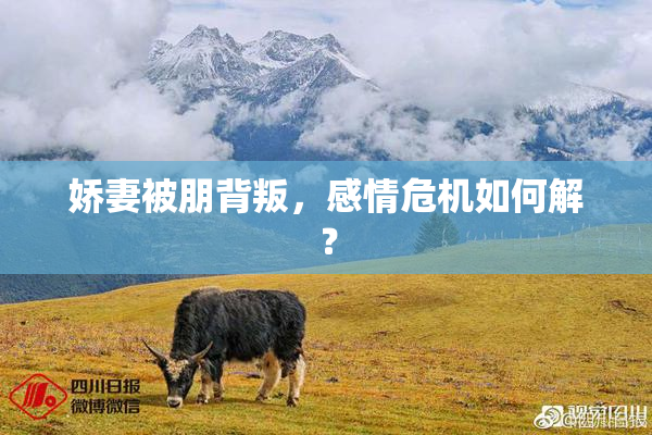 娇妻被朋背叛，感情危机如何解？