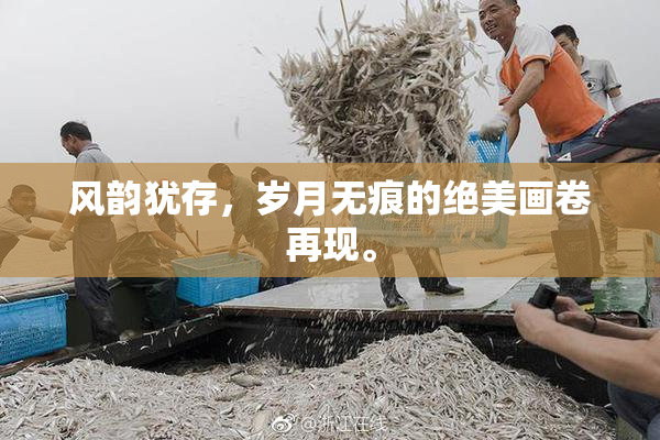 风韵犹存，岁月无痕的绝美画卷再现。