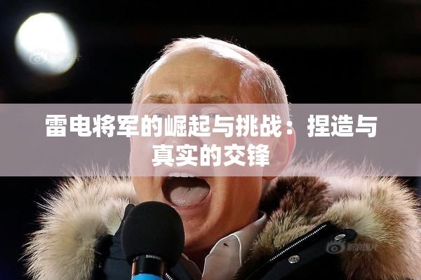 雷电将军的崛起与挑战：捏造与真实的交锋