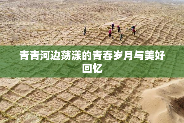 青青河边荡漾的青春岁月与美好回忆