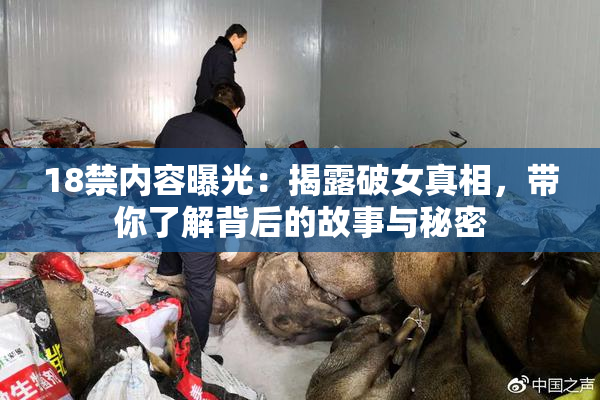 18禁内容曝光：揭露破女真相，带你了解背后的故事与秘密