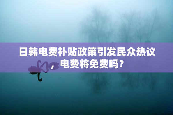 日韩电费补贴政策引发民众热议，电费将免费吗？