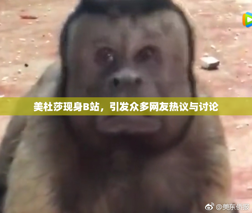 美杜莎现身B站，引发众多网友热议与讨论