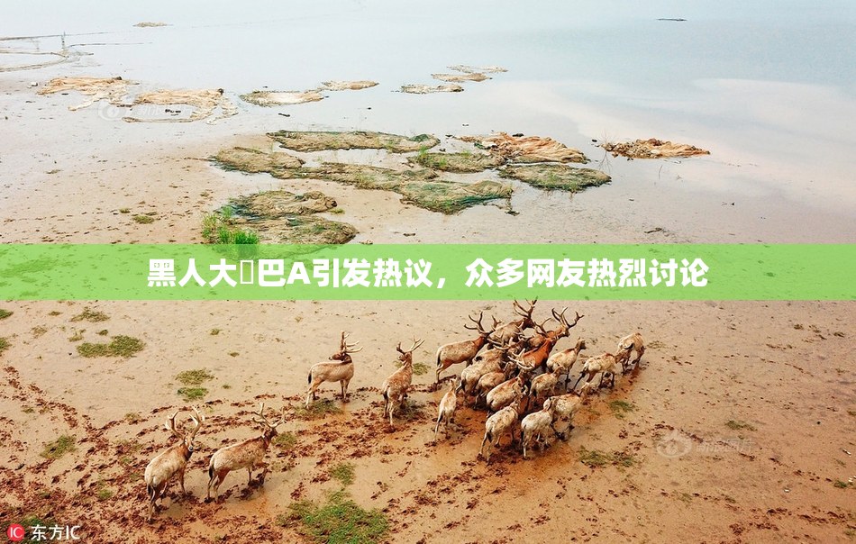 黑人大鷄巴A引发热议，众多网友热烈讨论
