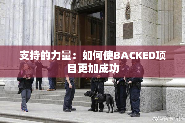 支持的力量：如何使BACKED项目更加成功