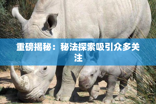 重磅揭秘：秘法探索吸引众多关注
