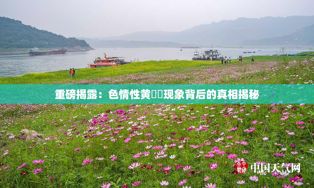 重磅揭露：色情性黄❌‌现象背后的真相揭秘