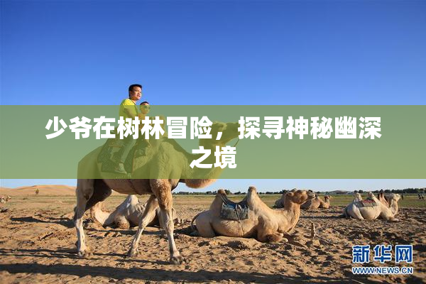 少爷在树林冒险，探寻神秘幽深之境