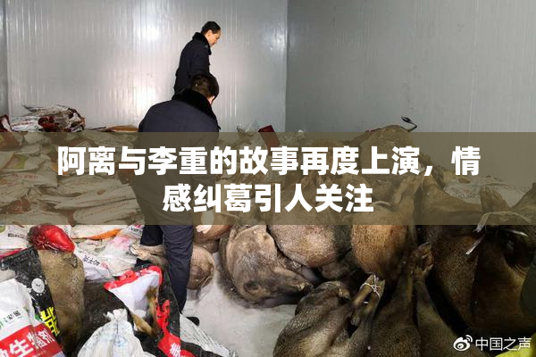 阿离与李重的故事再度上演，情感纠葛引人关注