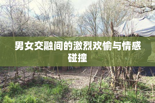 男女交融间的激烈欢愉与情感碰撞