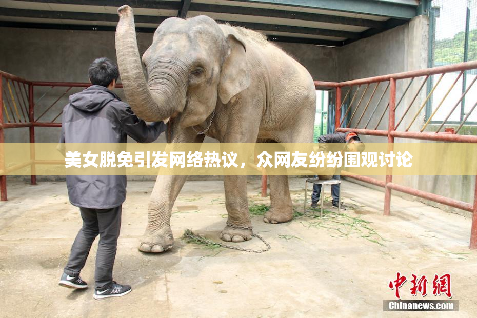 美女脱免引发网络热议，众网友纷纷围观讨论
