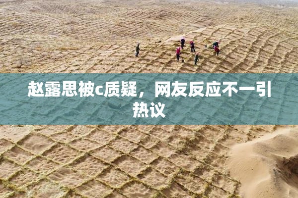 赵露思被c质疑，网友反应不一引热议