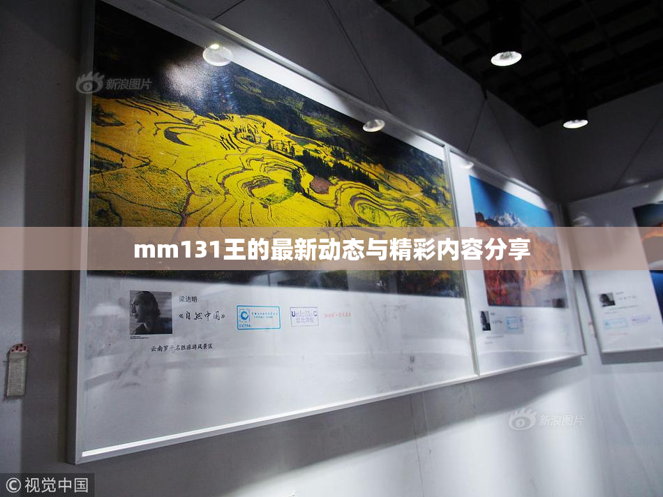 mm131王的最新动态与精彩内容分享