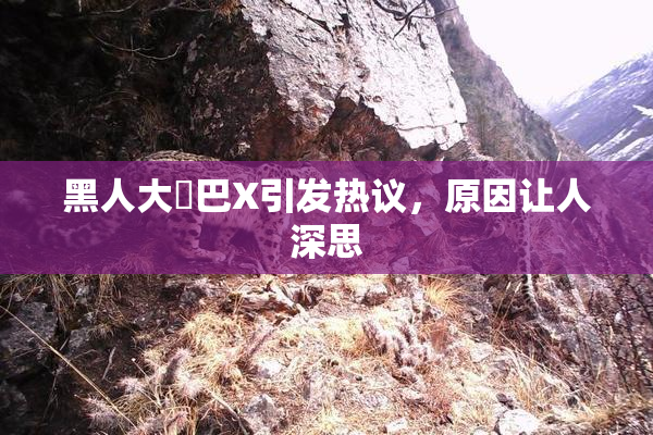 黑人大鷄巴X引发热议，原因让人深思