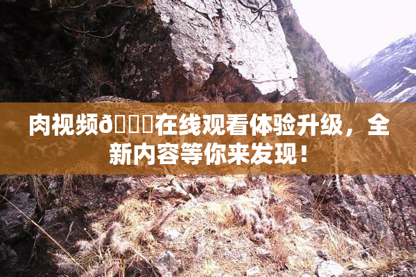 肉视频🔞在线观看体验升级，全新内容等你来发现！