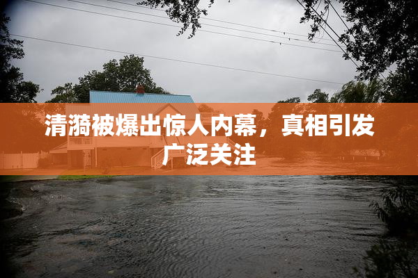 清漪被爆出惊人内幕，真相引发广泛关注