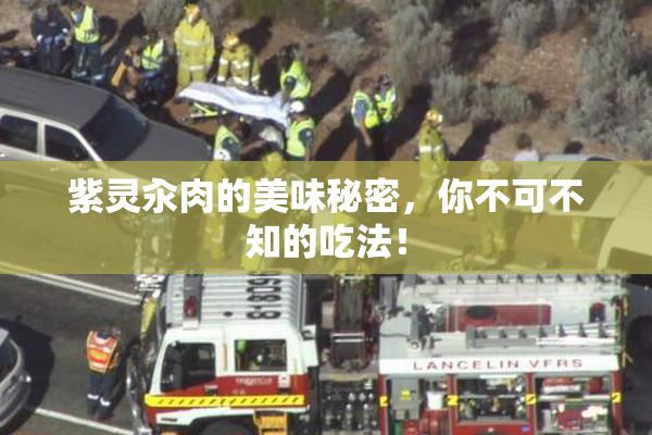紫灵汆肉的美味秘密，你不可不知的吃法！