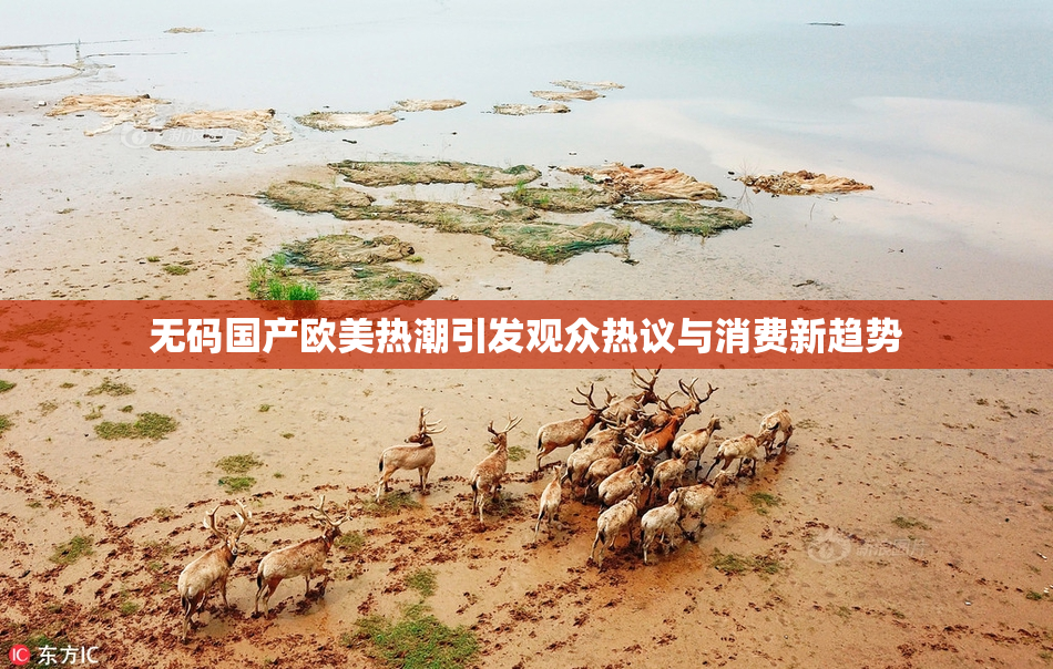 无码国产欧美热潮引发观众热议与消费新趋势