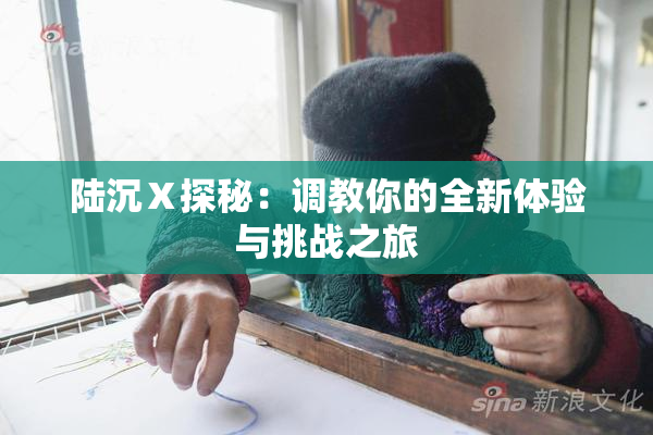 陆沉Ⅹ探秘：调教你的全新体验与挑战之旅