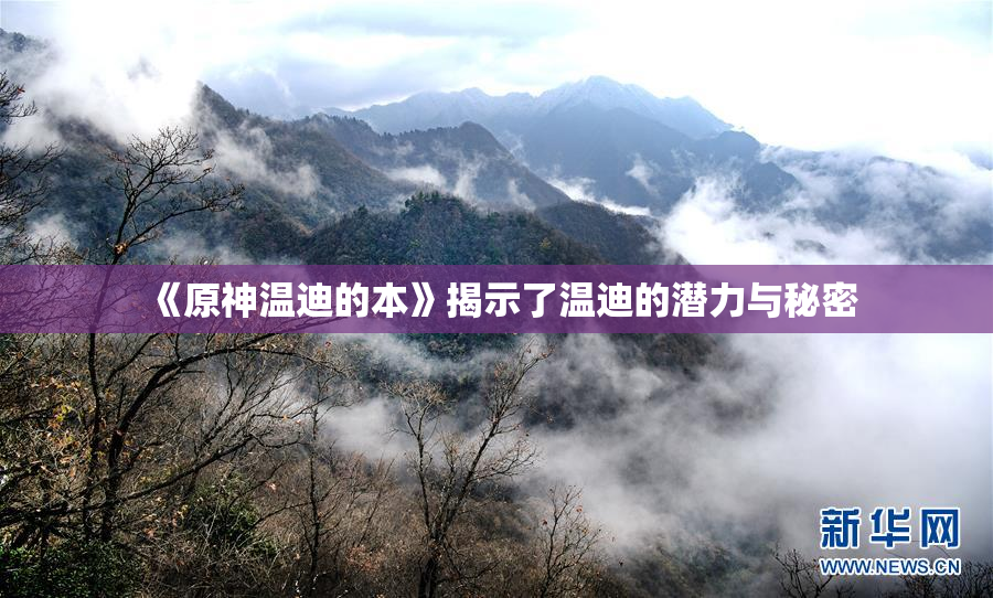 《原神温迪的本》揭示了温迪的潜力与秘密