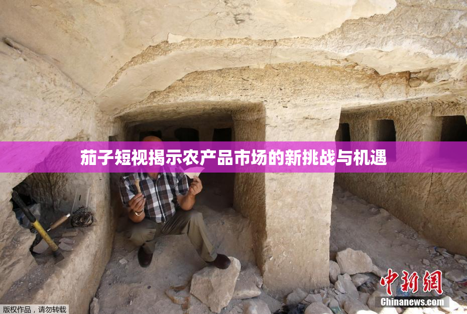 茄子短视揭示农产品市场的新挑战与机遇