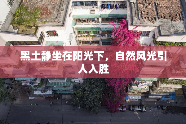 黑土静坐在阳光下，自然风光引人入胜