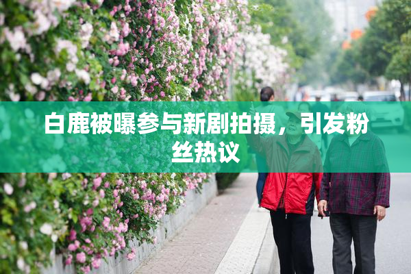 白鹿被曝参与新剧拍摄，引发粉丝热议