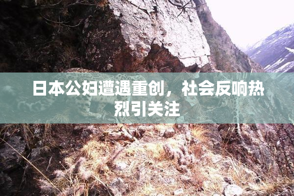 日本公妇遭遇重创，社会反响热烈引关注