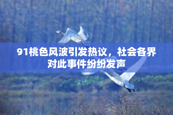 91桃色风波引发热议，社会各界对此事件纷纷发声