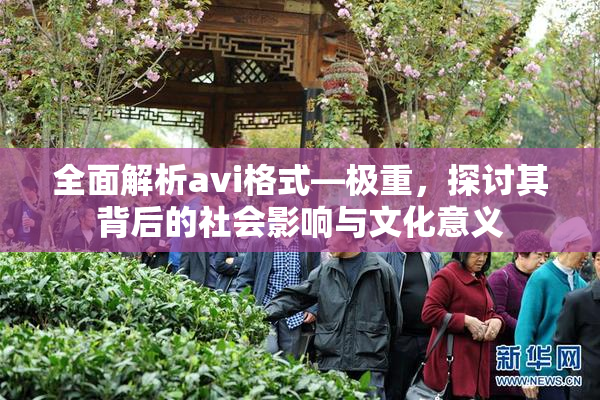 全面解析avi格式―极重，探讨其背后的社会影响与文化意义