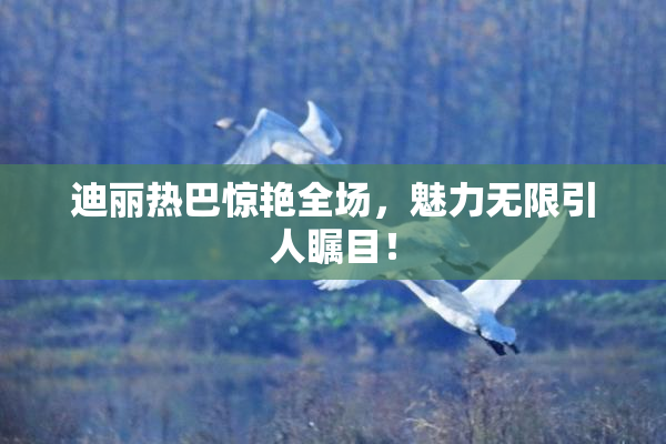 迪丽热巴惊艳全场，魅力无限引人瞩目！